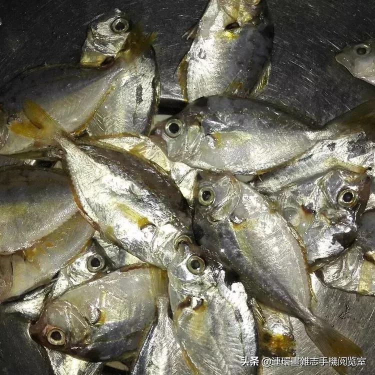 海鲜市场买什么最划算,海鲜市场里买什么鱼好吃