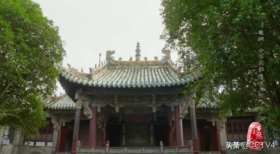 华佗故乡亳州药都之乡简介,亳州为什么被称为华佗故里