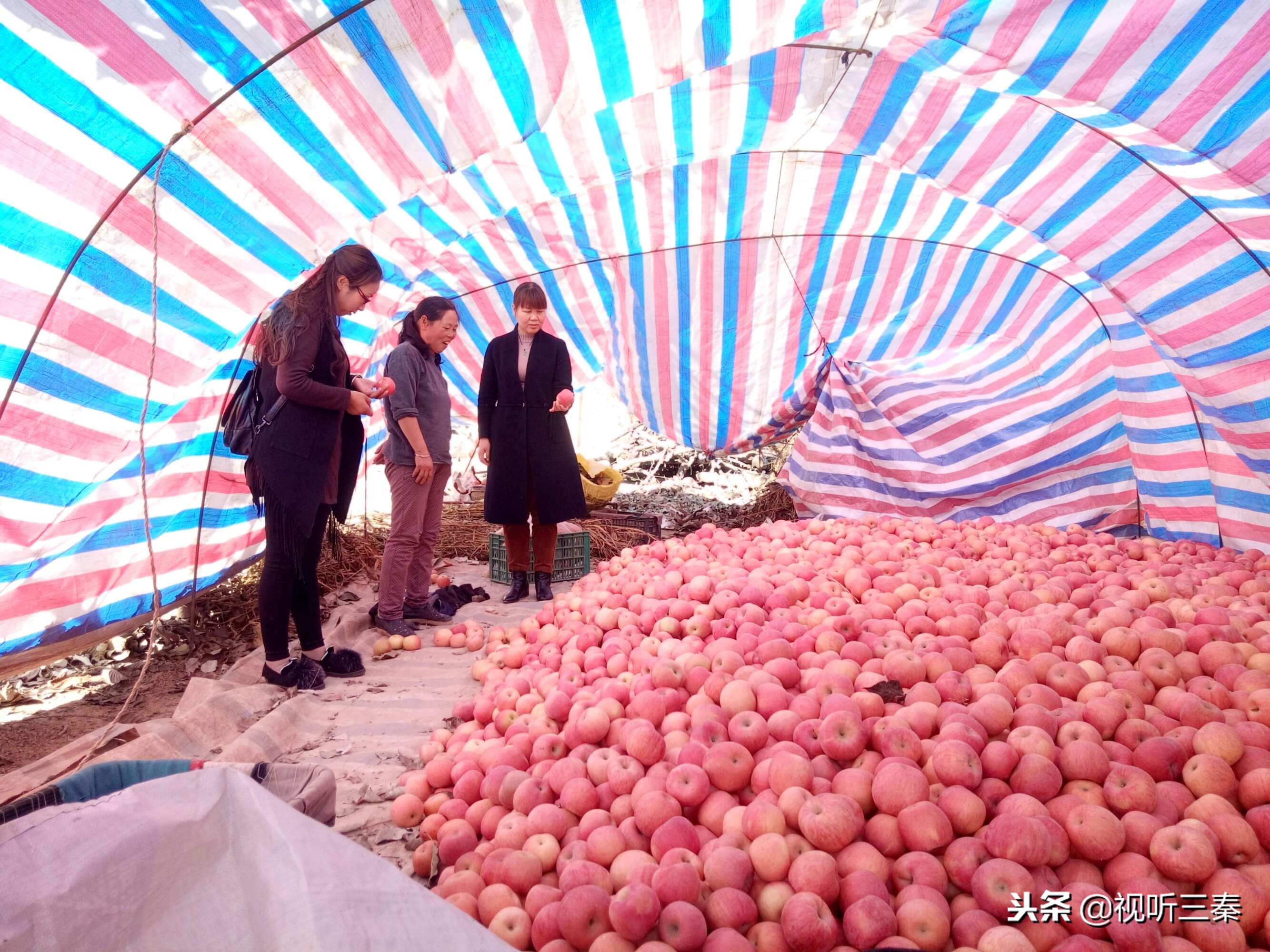 白水县教育局郭雪芳,白水县郭雪芳
