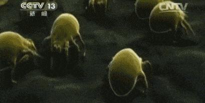 别再乱用清洁面膜了,如何正确洗脸既能白还能长痘