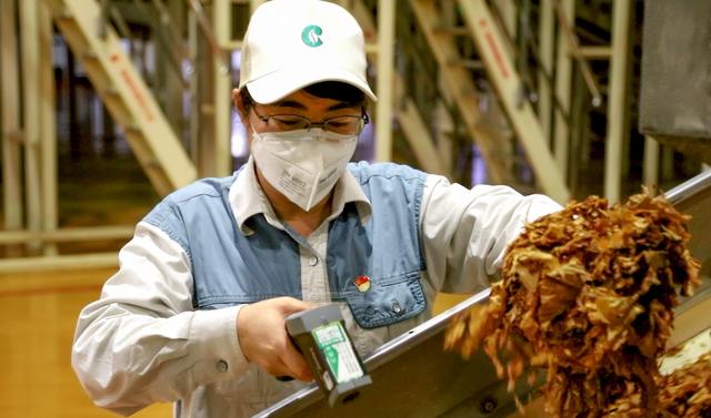 武大研究生进卷烟厂,武大毕业生进烟草容易吗