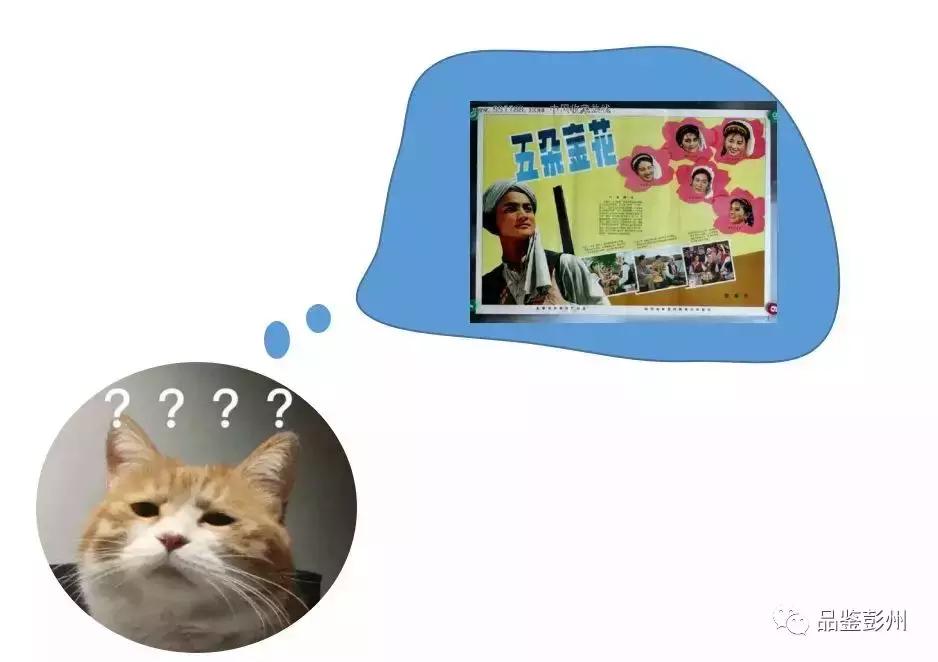 五朵金花抱团,彭州未来的发展