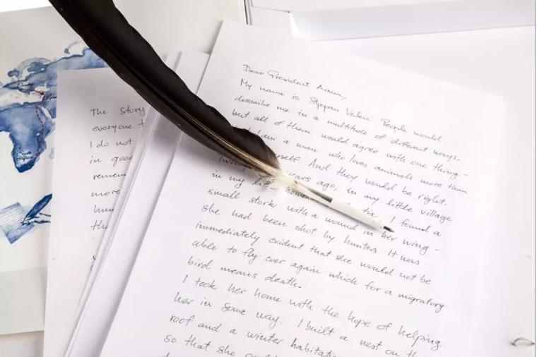 18年感人的爱情故事视频,18年感人的爱情故事