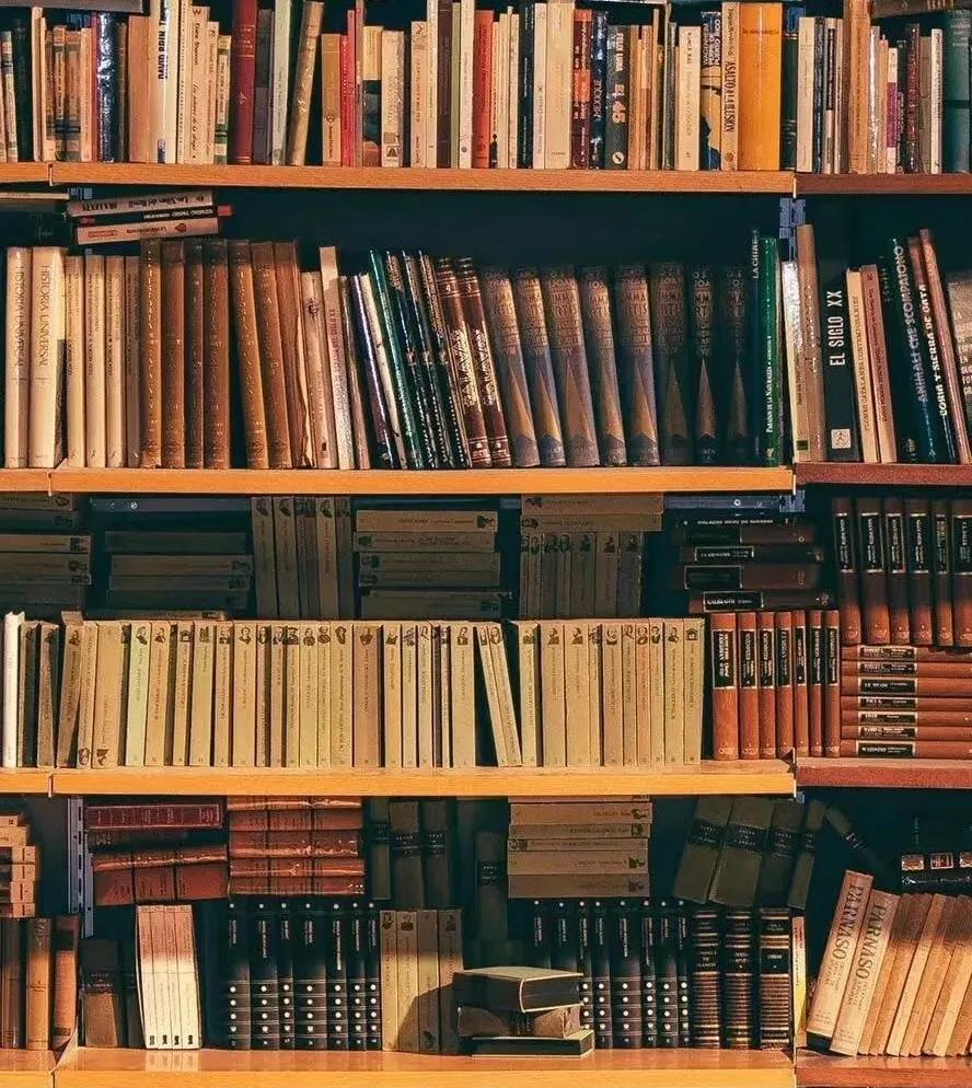 四月的青岛微风不燥,四月份的青岛什么好吃