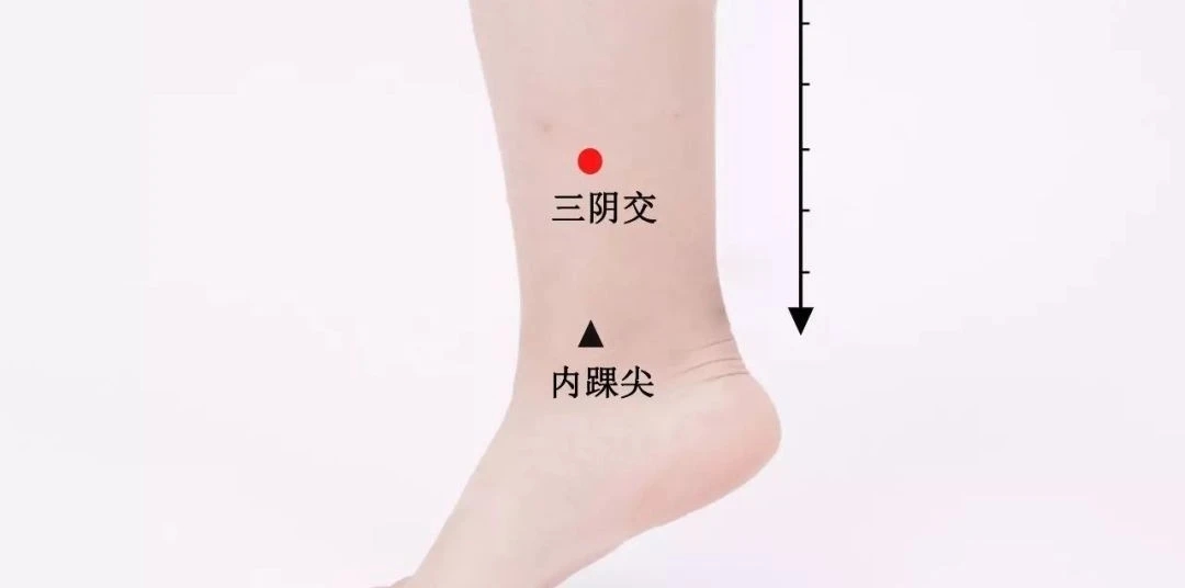 灸哪个穴位可以瘦肚子,为什么女人先胖肚子和臀部