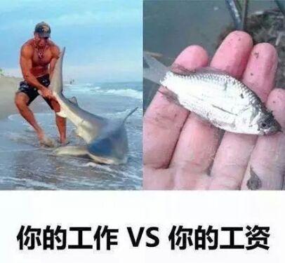 借呗花呗微粒贷到底哪个利息低,支付宝微粒贷京东白条哪家利息低