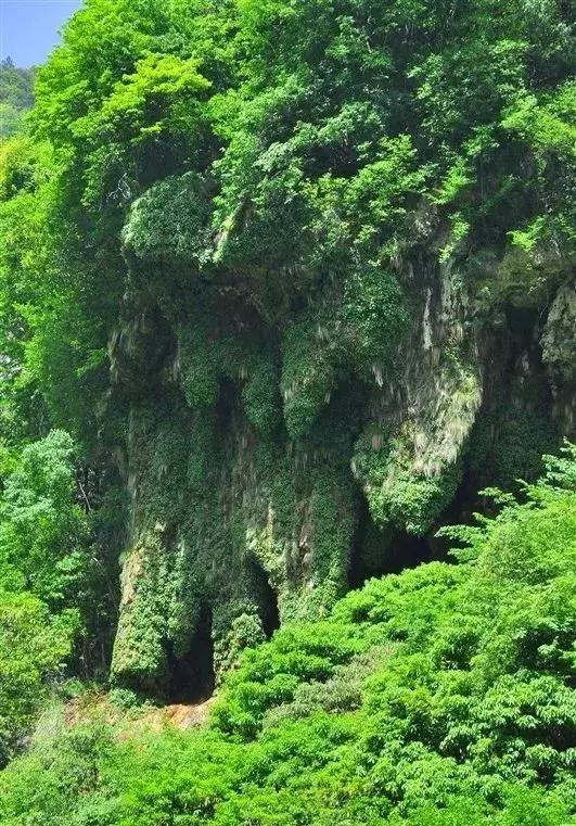 中国“林海”，你可能还不知道，这是一个低调很久了高颜值县城！