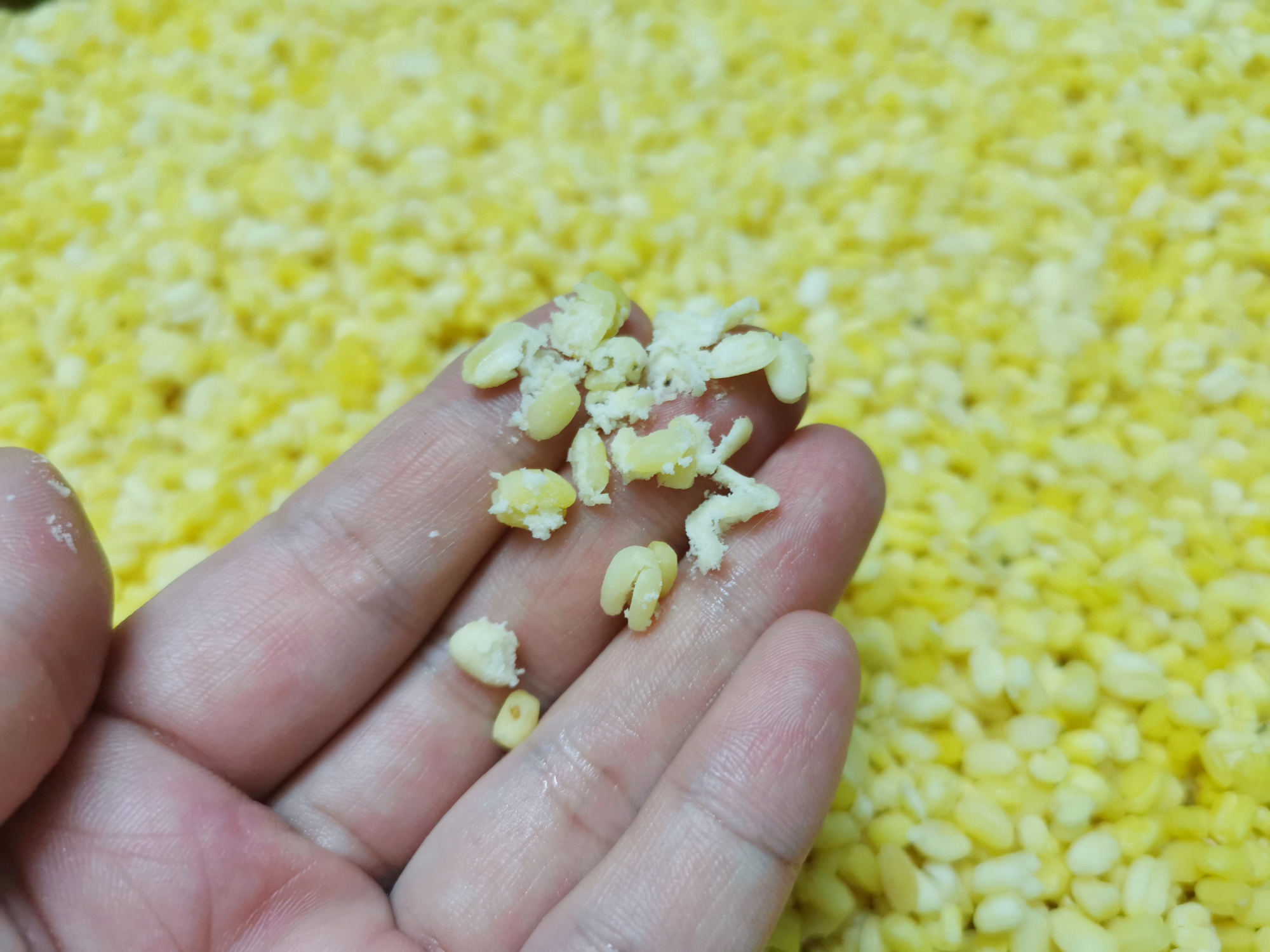 自己超爱吃的绿豆饼自己动手做,绿豆饼自制无油无糖