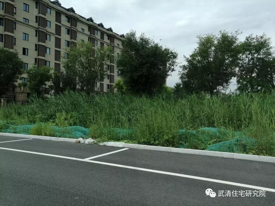 武清龙湾城居住体验,住在武清高村方便吗