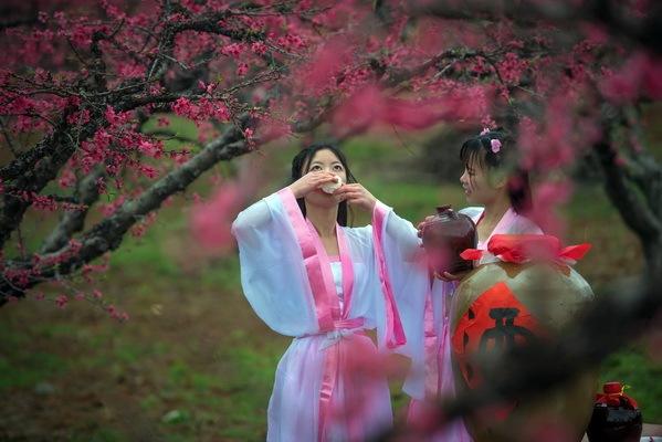 陇南的特色酒,陇南酒厂的酒系列