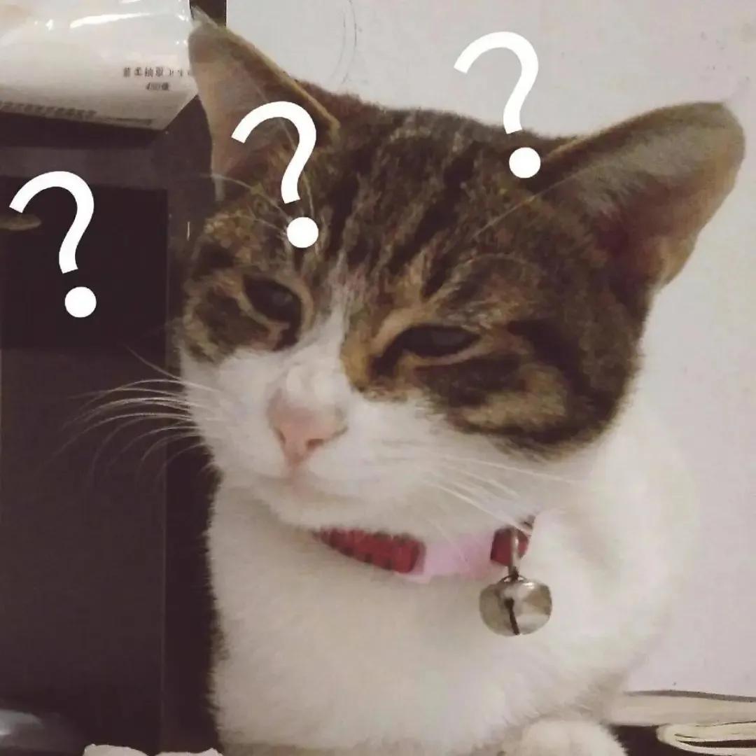 终于等到这一天轻音乐,终于等到这一天粤语