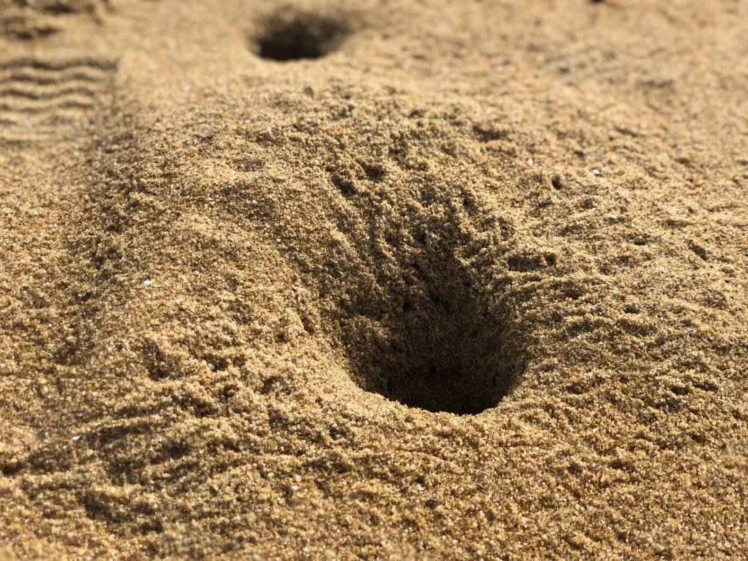 告别2019，迎来2020，在三娘湾与白海豚一起跨年