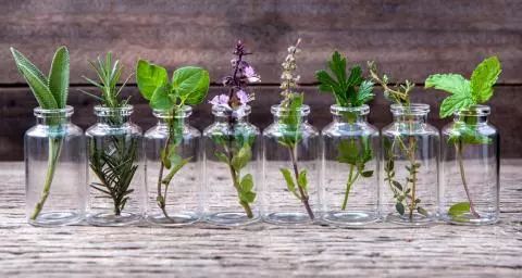 “土气”的休闲农业,正成为高端品牌争抢的“联姻”对象