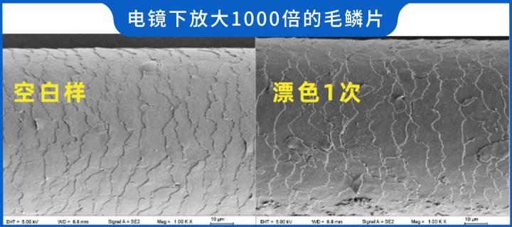 染发剂有害成分做了深度测评,染发剂是否致癌的文章