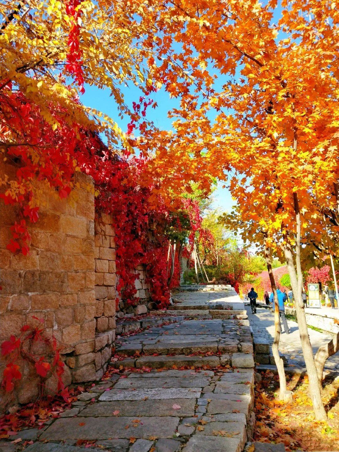 长春出发特价机票四月,长春出发双人旅游套餐含机票团购