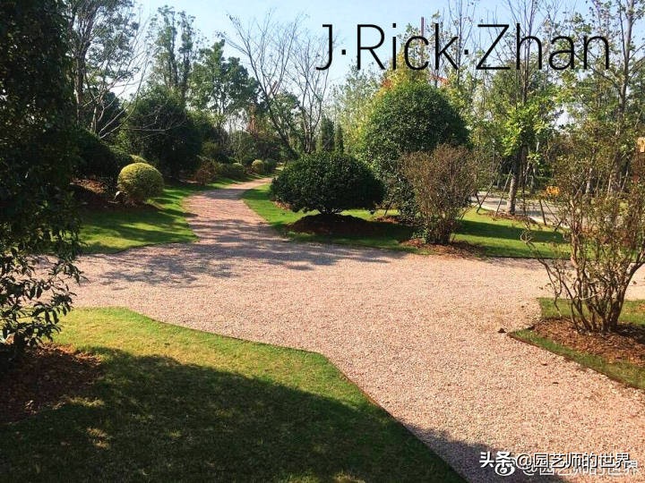 怎样种植草坪技术,果岭草坪的种植养护方法及技巧