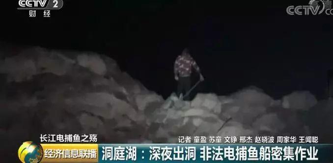 刑法规定的禁止使用捕鱼方法,非法捕鱼为什么屡禁不止