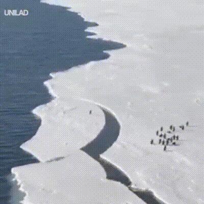 搞笑动图gif微信表情包2019,搞笑动图gif图片合集