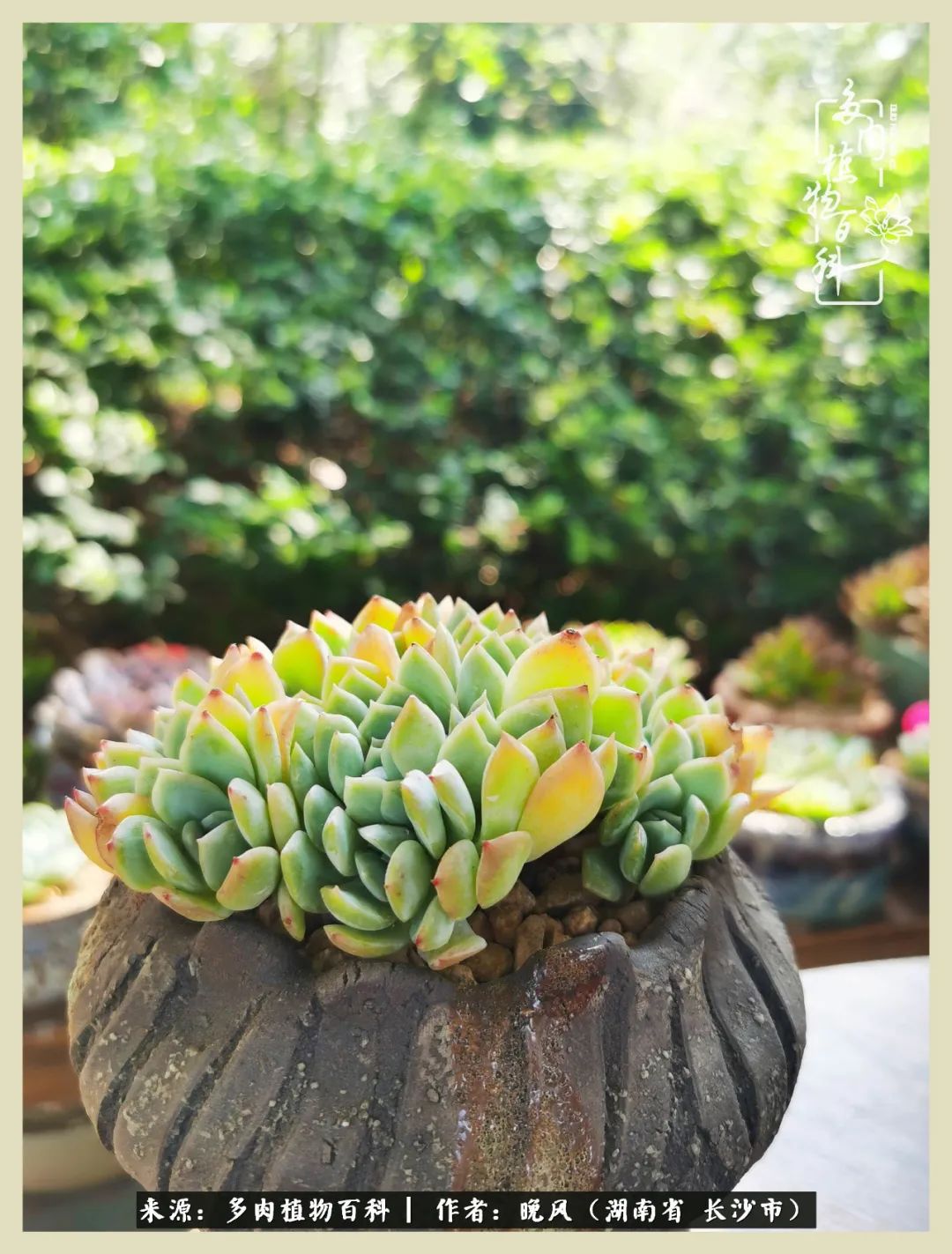 摇身一变成了奶爸,摇身一变成为打工人