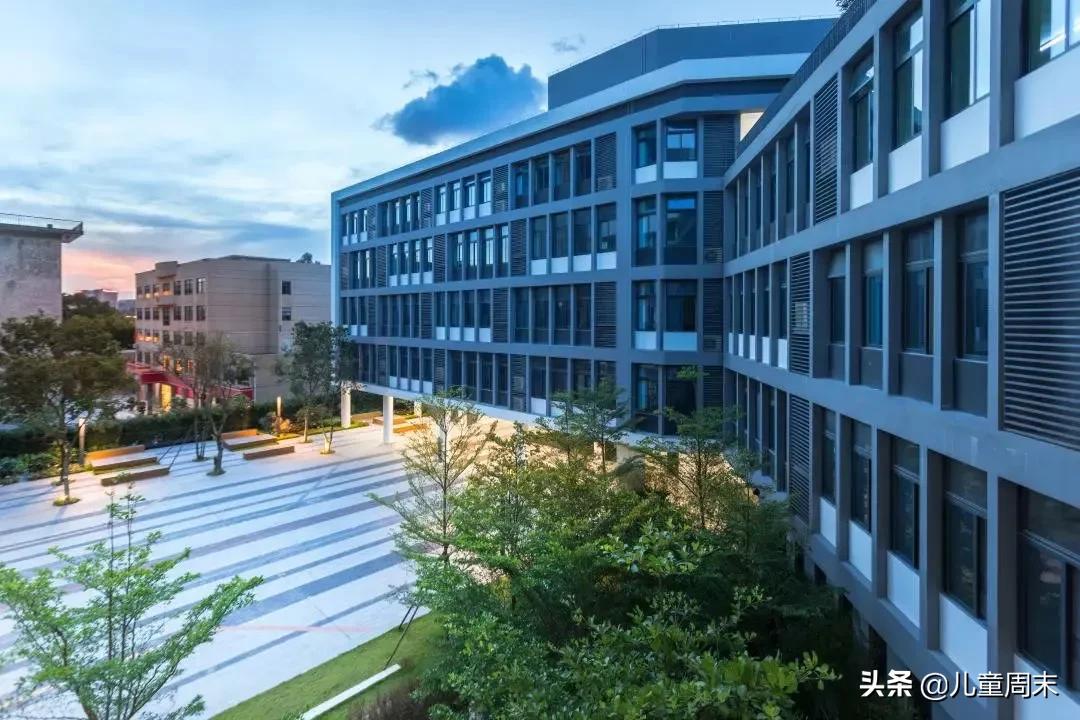 南山外国语科苑小学深圳排名,深圳南山麒麟小学最新排名