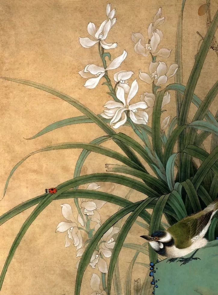 央视祖国大好河山常用的背景音乐,经典的背景音乐央视