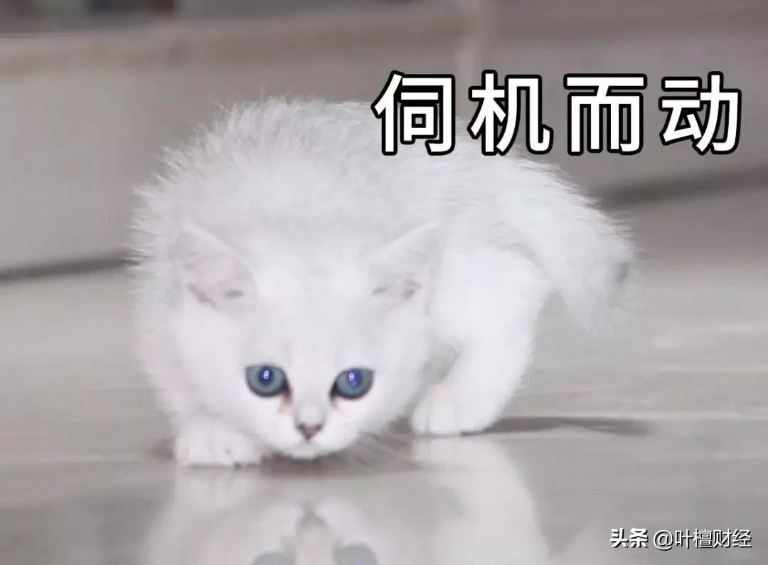 叶檀富豪榜,叶檀财经故事