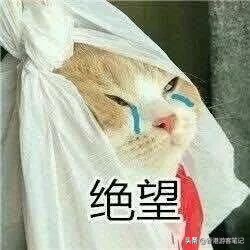 中李佳琦的毒太深!?这些鸡肋彩妆你买了?