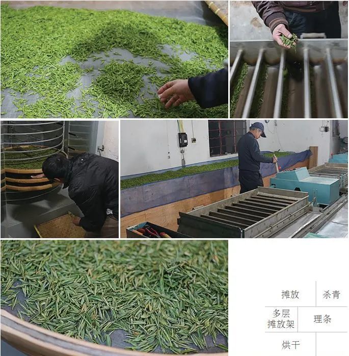 炎炎夏日喝点什么茶好,夏日暑湿喝什么茶最好养生