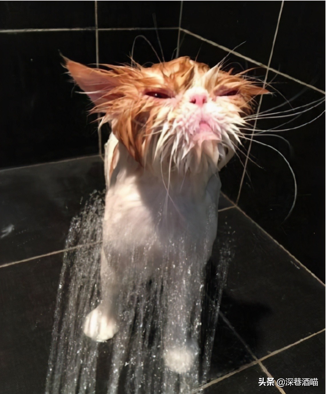 鍘荤埅鎵嬫湳瀵圭尗鏈夊澶х殑浼ゅ,妫夌澶ф硶鍚庡彲浠ョ粷鑲插悧