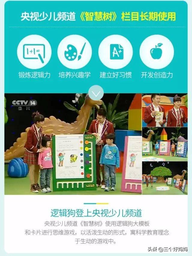 逻辑狗儿童思维训练3-4岁,德国逻辑狗思维训练的好处