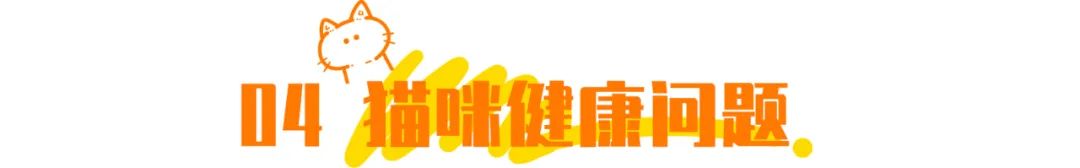 抖音特别能尿床的猫,猫咪尿床发抖音