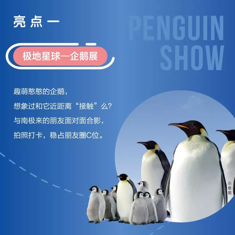 你有一个本周末蛋糕DIY名额待领取，用手作的甜蜜为爱告白吧