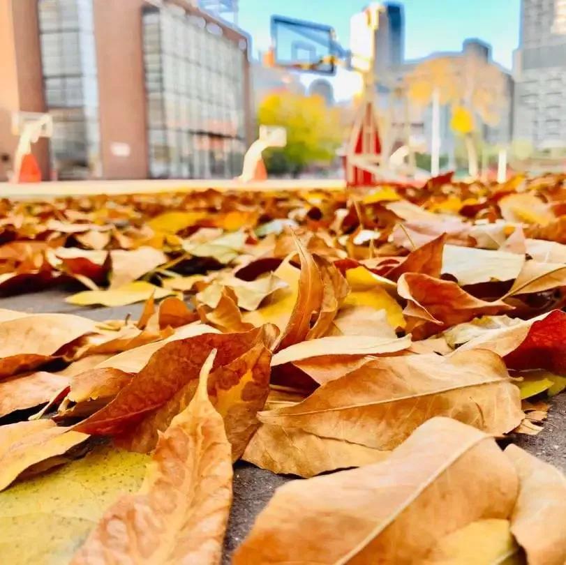 天津市耀华中学冯耀忠,天津市耀华中学招聘