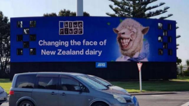 羊奶粉是最好的奶粉,羊奶粉是不是最好的奶粉