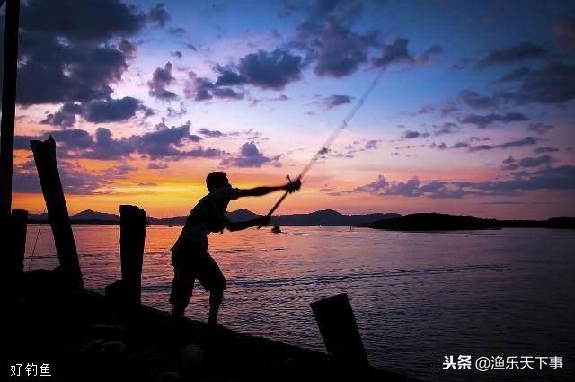 夜钓灯光诱鱼,夜钓什么颜色的灯光最吸引鱼