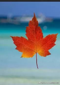 ps怎么打散人物,ps打散颗粒效果