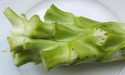 厨余废物怎么处理,餐厨边角料利用