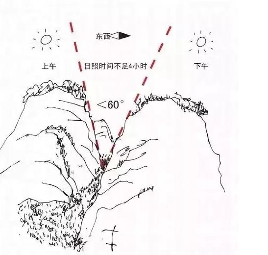 一座书写了半壁茶叶史的江山