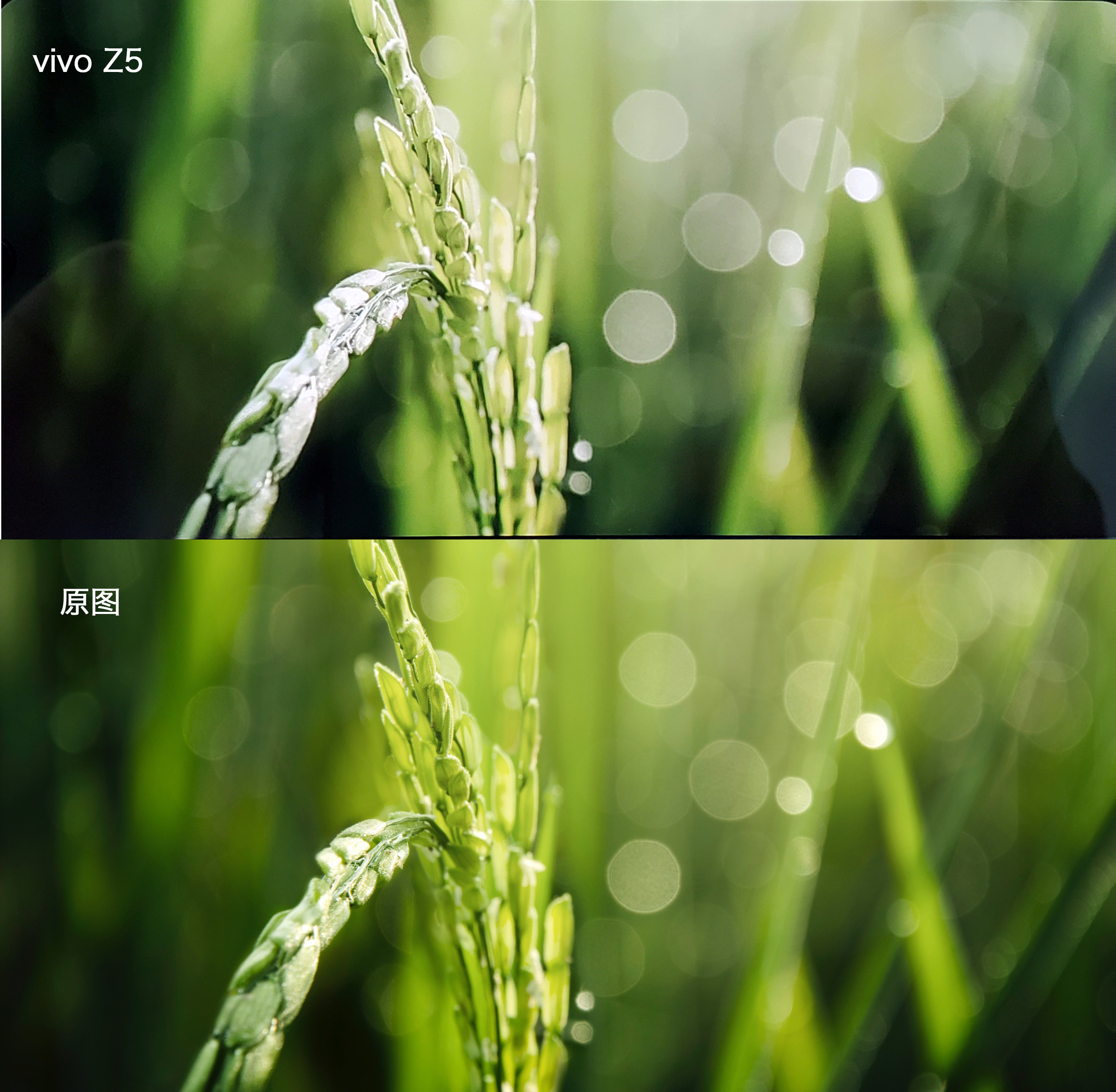 vivoz5手机值得入手吗,vivoz5现在还值得买吗