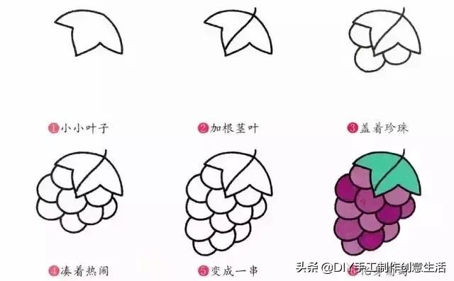 900000种水果简笔画,水果图片大全简笔画小学生