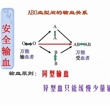 父母血型与孩子血型对照表是什么,如何通过父母血型预测子女血型