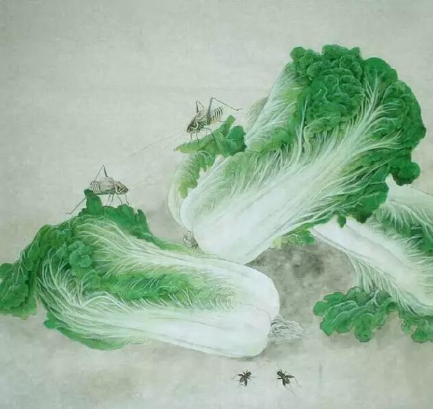 画白菜技法,3d白菜画