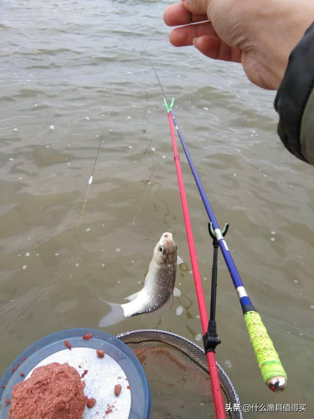 冬天钓鲫鱼小综合鱼竿,寒潮大风天钓鱼