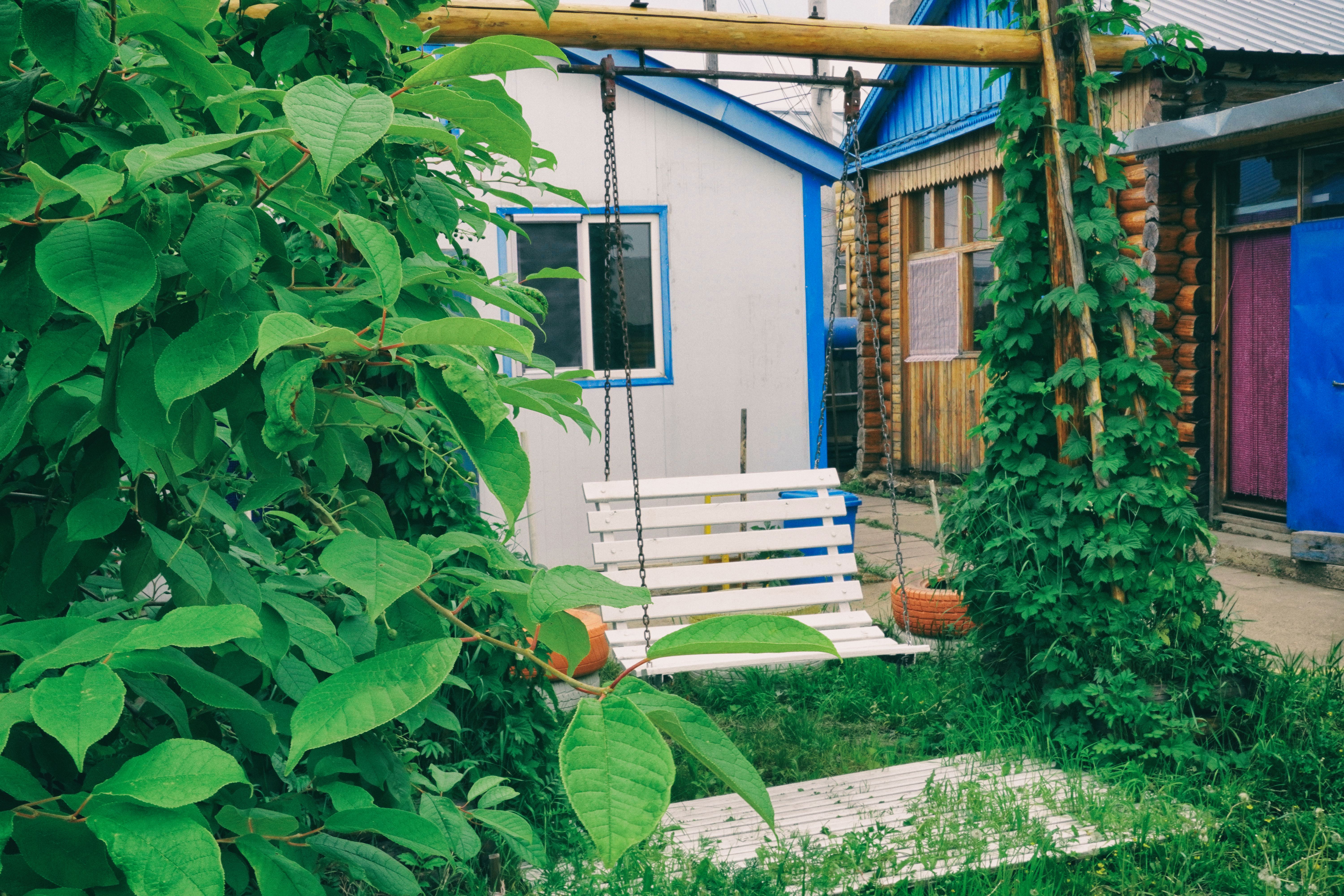 南方人自驾来东北是啥体验,15天一万公里的新疆感受