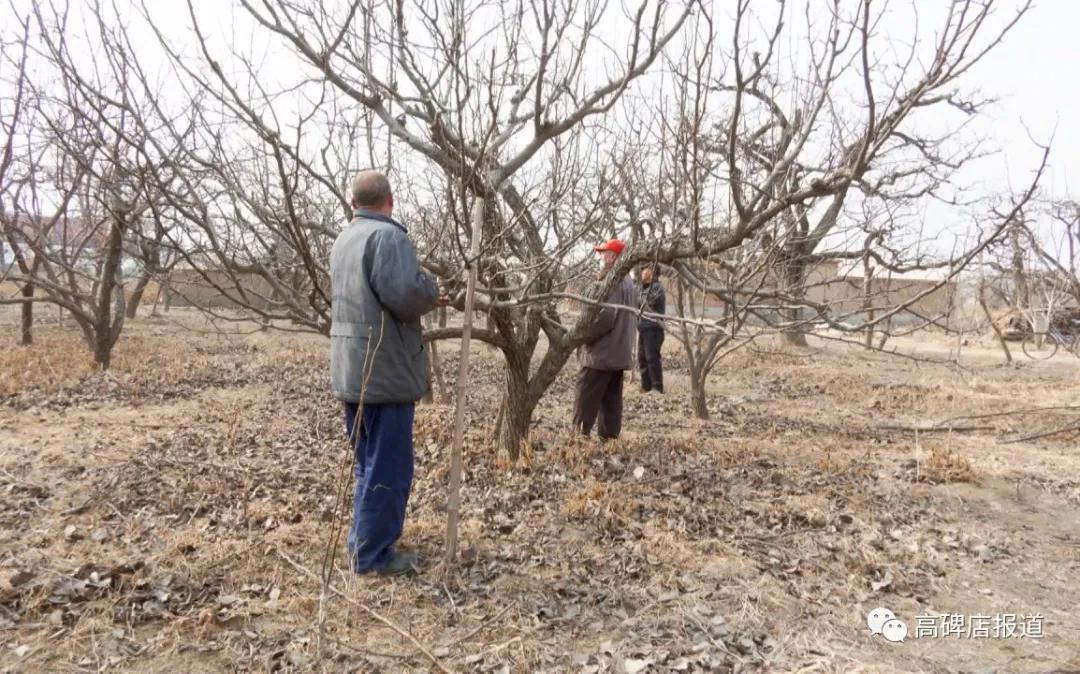 新春走基层年味儿,新春走基层打工人