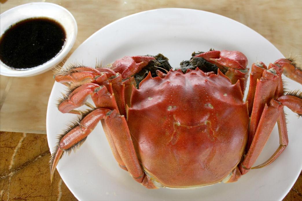 螃蟹哪个地区的最好吃,中国的螃蟹有多少种哪种最好吃