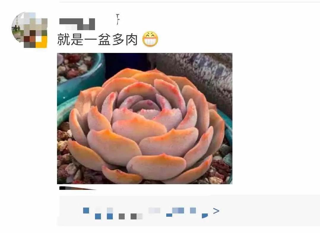 恒大荷花怎么造型,恒大莲花球场真实图