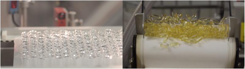 进口食品oem,营养食品oem代工哪家好