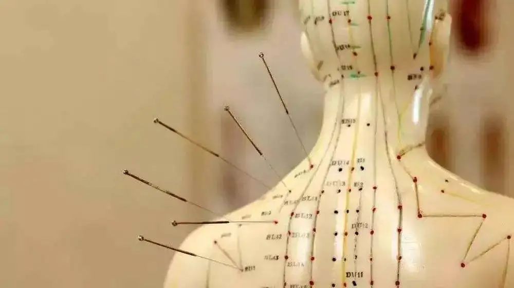 男科养生健康知识宣传,男性健康与中医养生活动方案