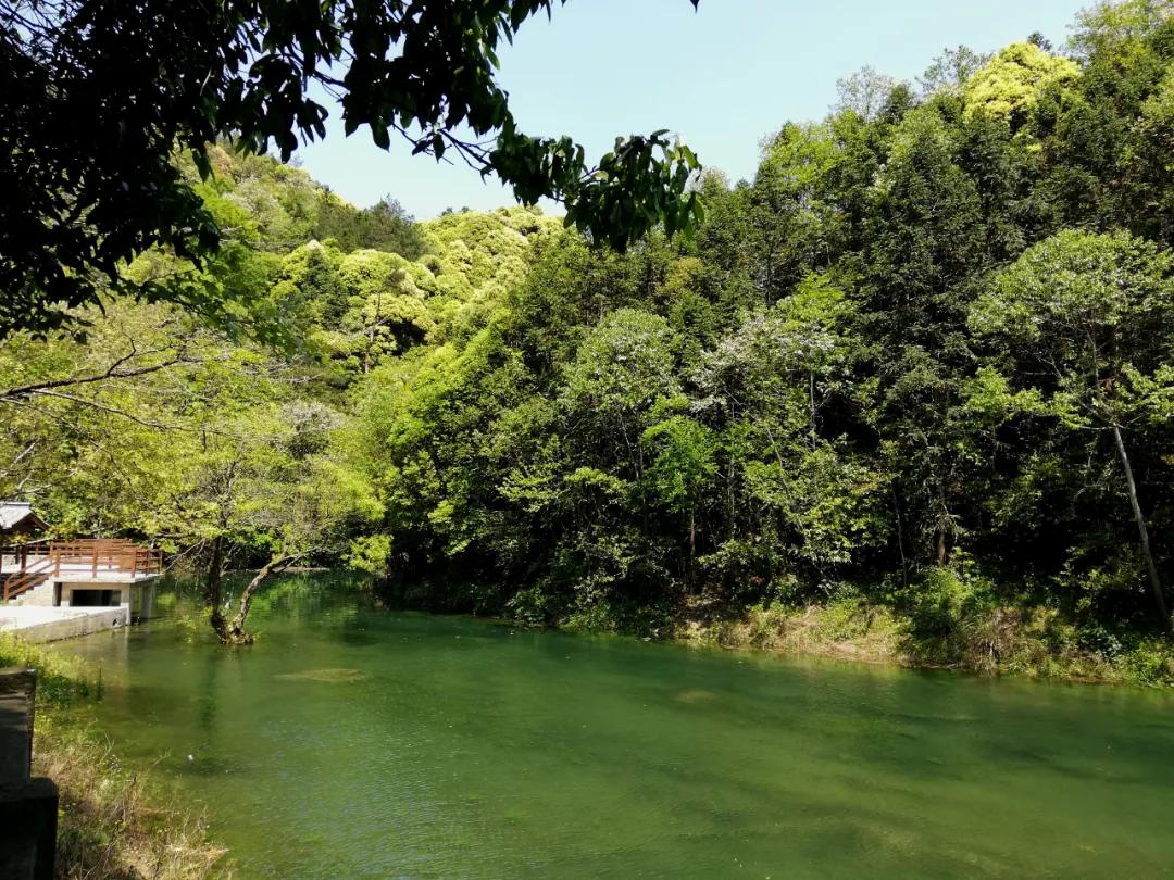 石台仙寓山附近哪里好玩,石台仙寓镇云里居